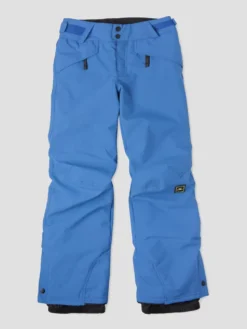 O'Neill Anvil Pants