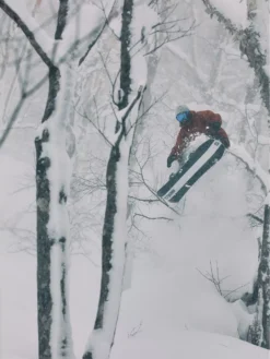 Salomon Dancehaul 147 2023 Snowboard -Skiausrüstung Geschäft Dancehaul1472023Snowboard 2