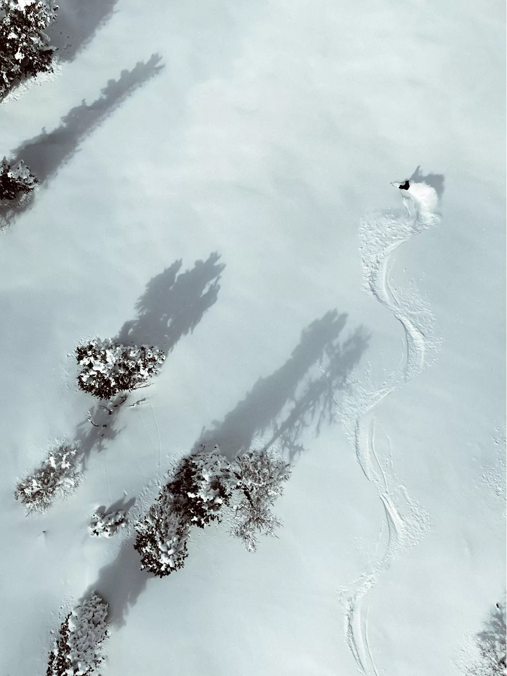 Faction La Machine Mini 99mm 171 2023 Tourenski 4 Faction La Machine Mini 99mm 171 2023 Tourenski – Bild 2