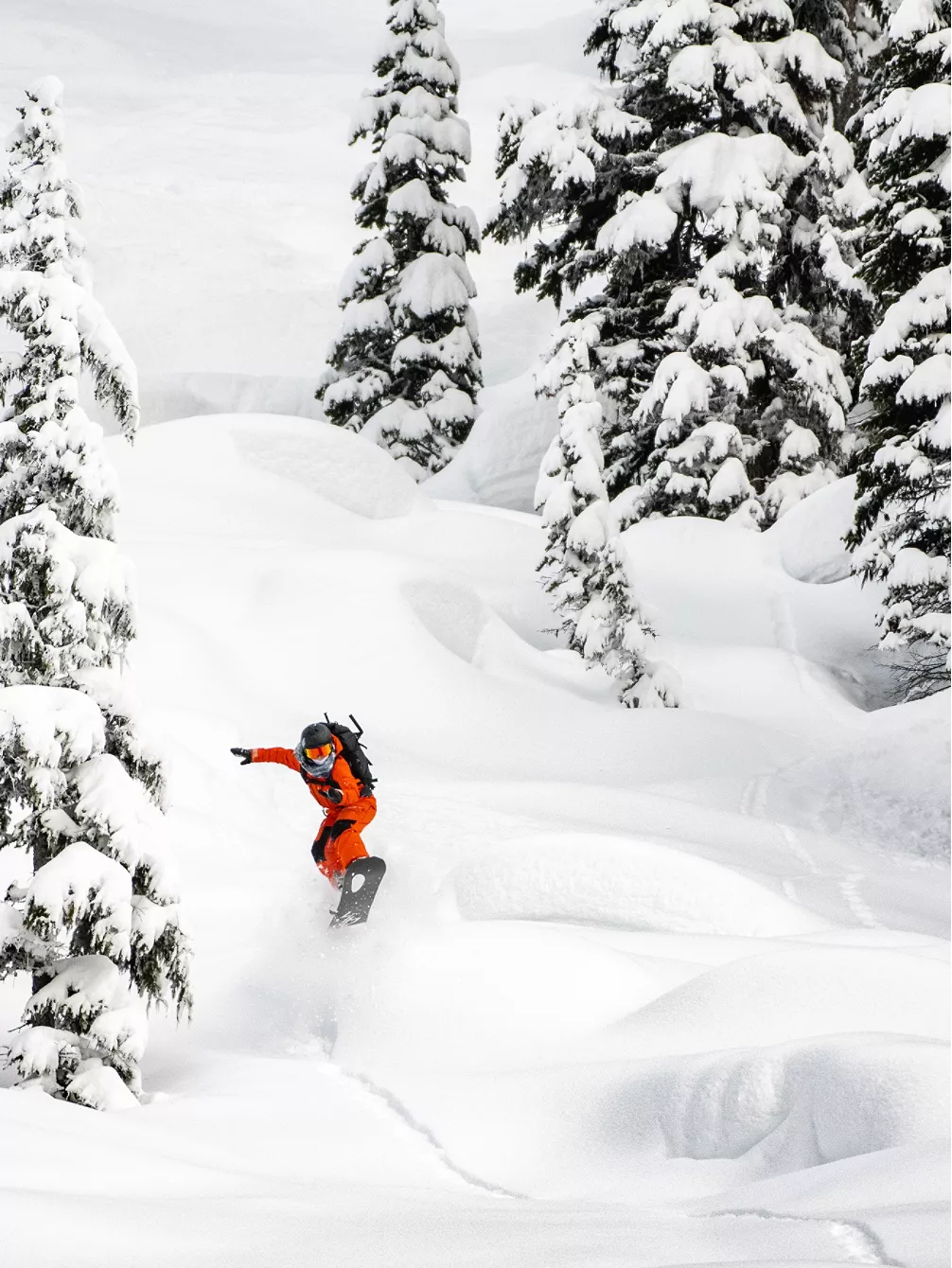 Lib Tech Orca 153 2023 Snowboard 4 Lib Tech Orca 153 2023 Snowboard – Bild 2